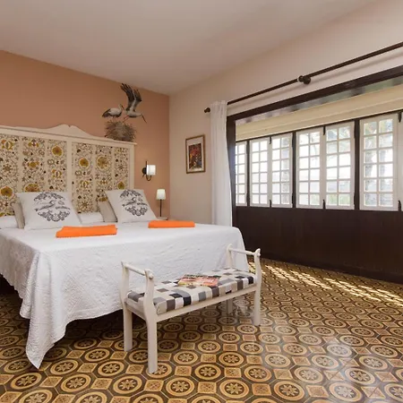 Amazing Canarian To Rent By Tenerife Ltd 빌라 *
