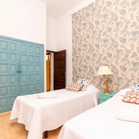 Amazing Canarian To Rent