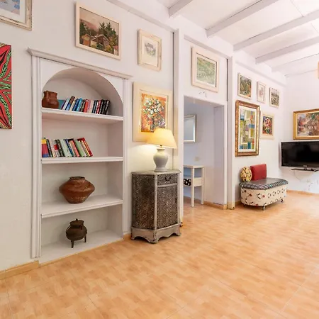 Amazing Canarian To Rent *